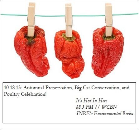 Oct 18 2013 IHIH Oct 18 2013 IHIH