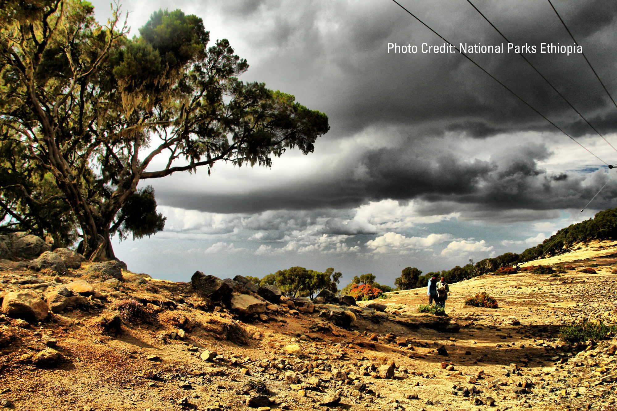 Cover image for Science and Social Conflicts in Climate Planning: The View from Ethiopia