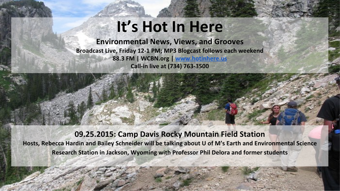 Cover image for Camp Davis Rocky Mountain Field Station