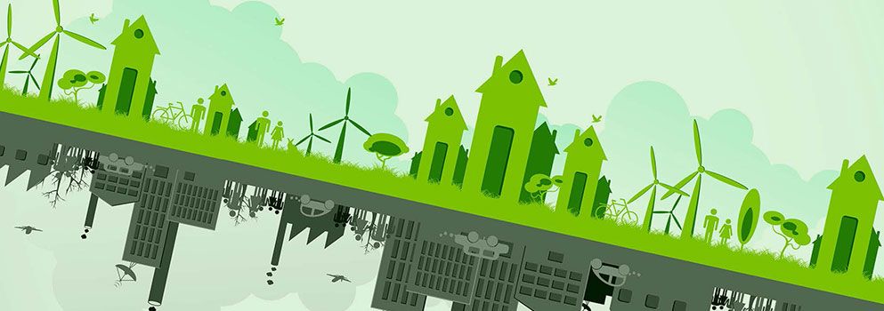 Cover image for Motown, a Food Farm?