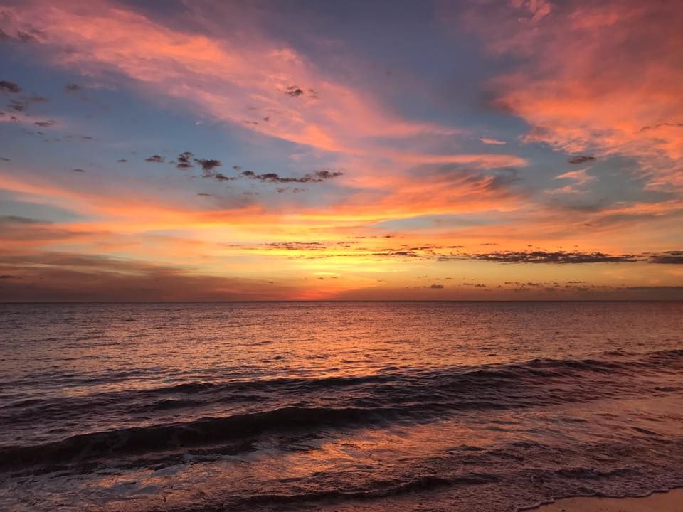 Cover image for Aquaculture in Madagascar