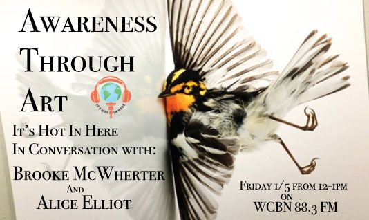 Cover image for Awareness Through Art: Bird Collisions and Safe Passage