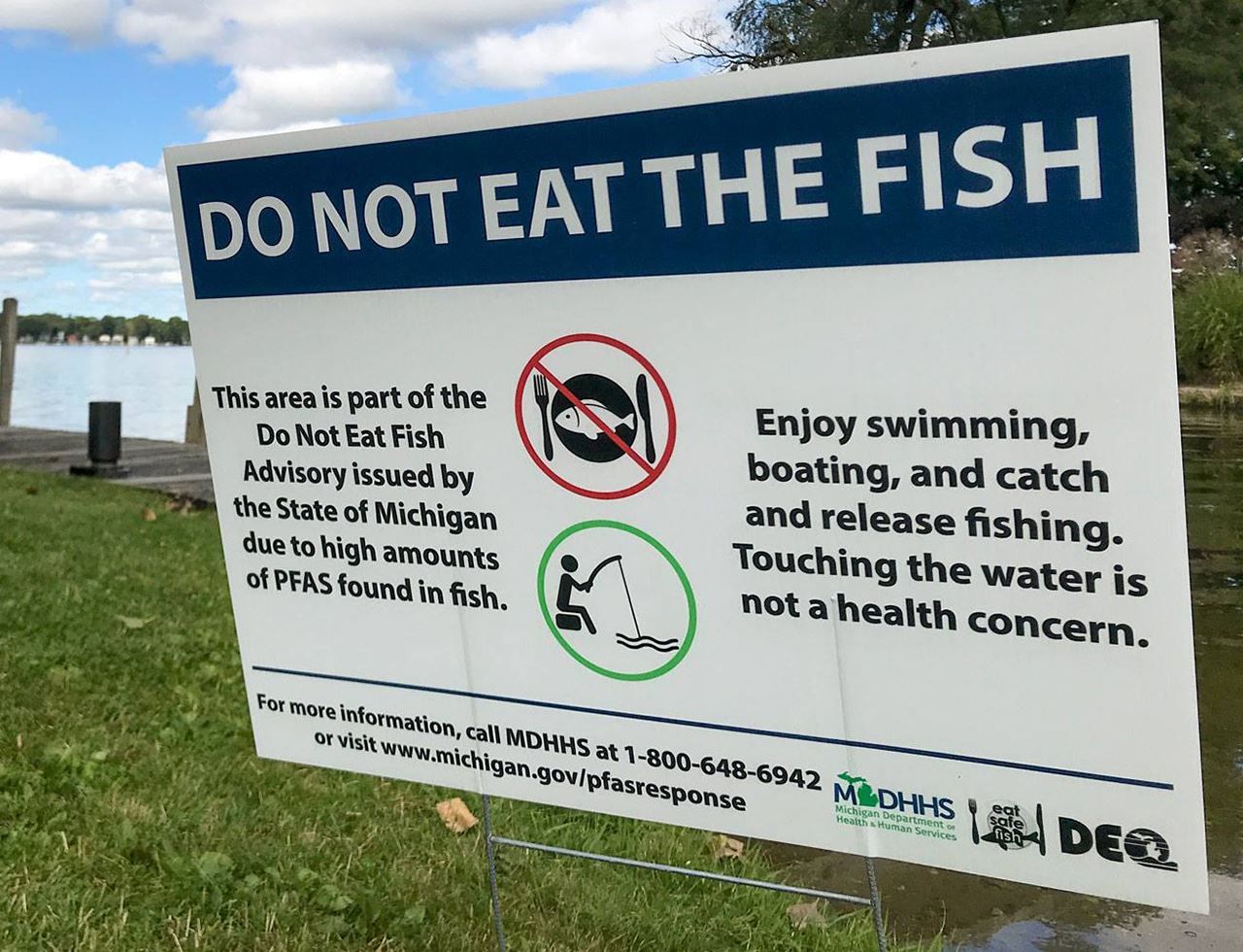 Cover image for Something's in the Water