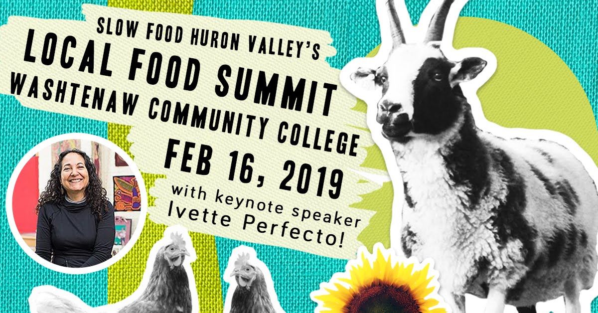 Cover image for Local Food, Global Fun