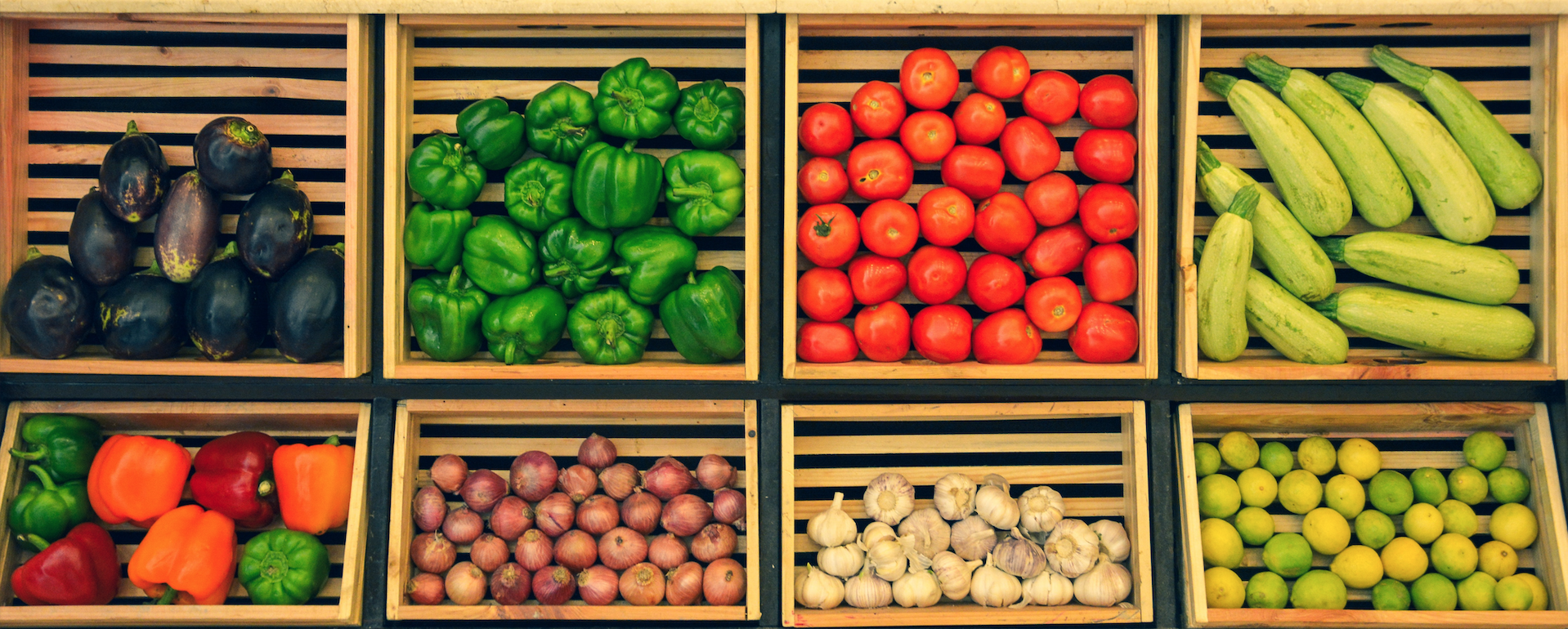 Cover image for Winona Bynum of the Detroit Food Policy Council