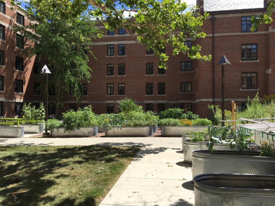 Cover image for The Community of Food, Society, and Justice Conference