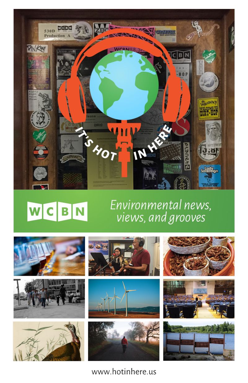 It's Hot In Here - Environmental news, views, and grooves